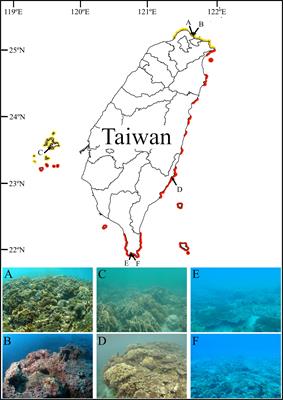 Fine intervals are required when using point intercept transects to assess coral reef status